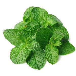 Menthe Chlorophylle