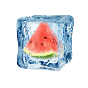 Pastek Fresh